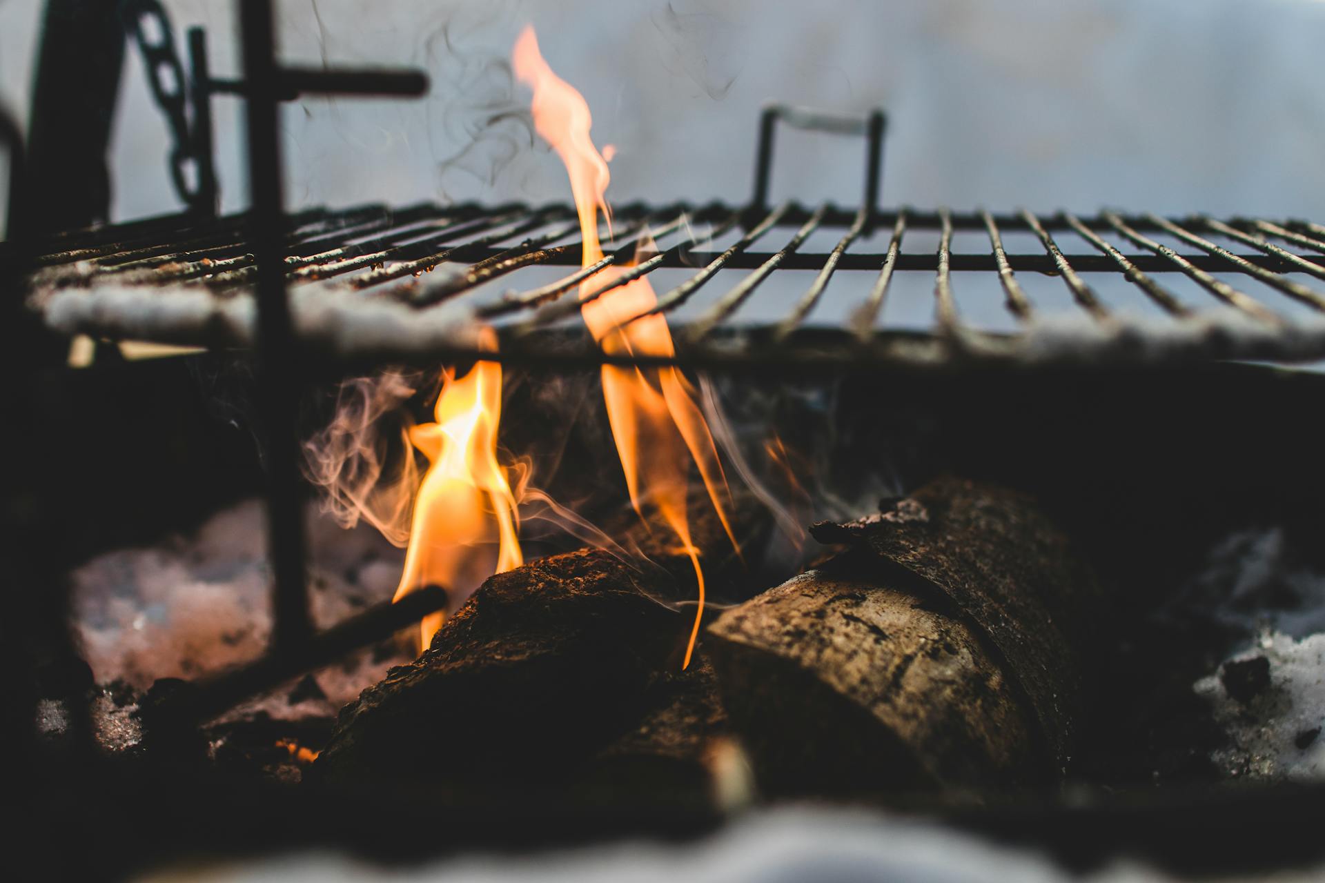 Meilleurs barbecues charbon premium (comparatif 2026)